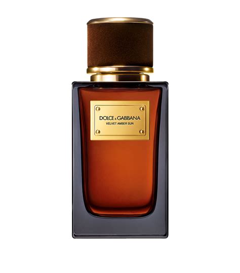 dolce e gabbana velvet amber sun